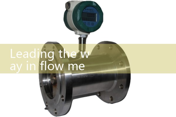 Leading flow meter